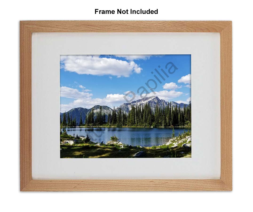 Nature Photo Prints