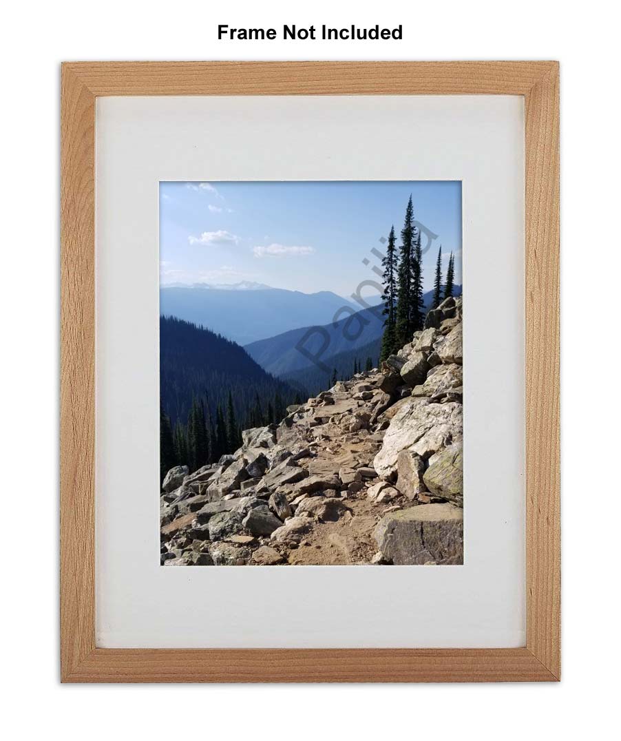 Nature Photo Prints