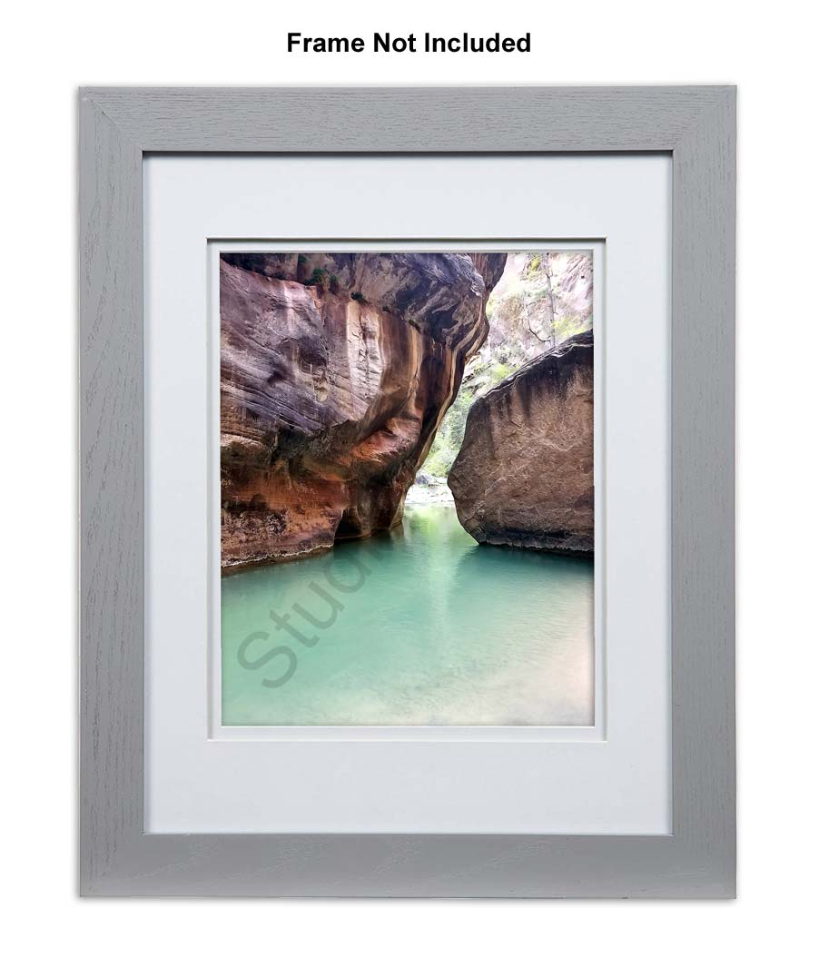 Nature Photo Prints