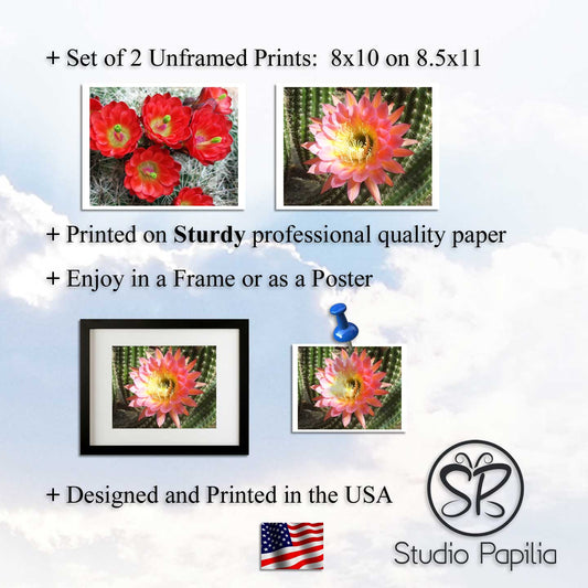 Nature Photo Prints