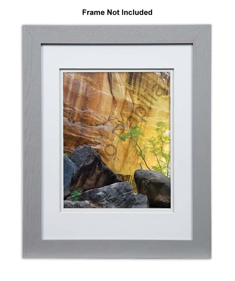 Nature Photo Prints