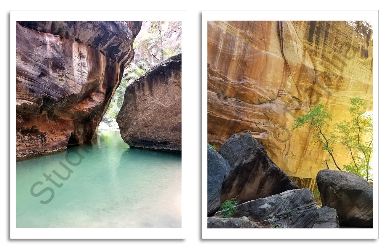 Nature Photo Prints