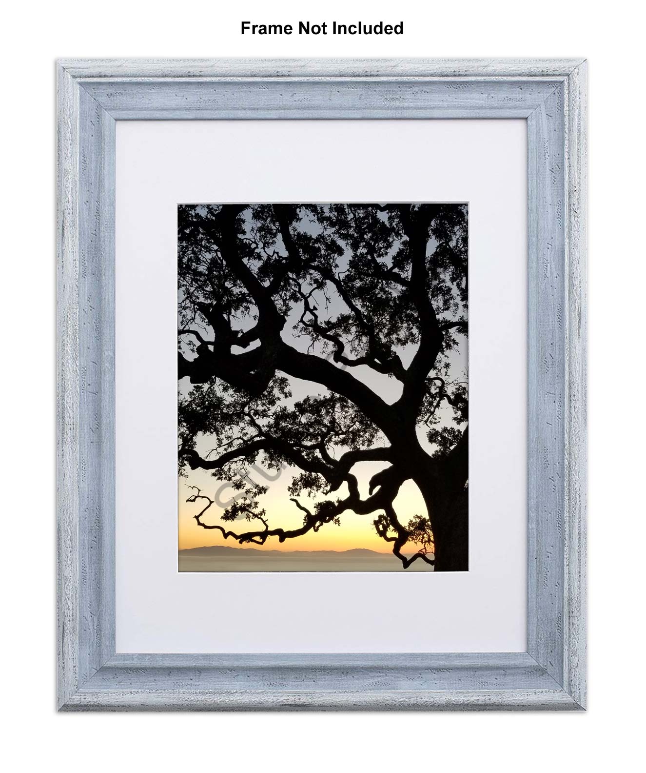 Nature Photo Prints